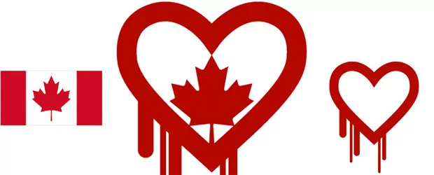 Is Heartbleed Deceptively Easy to Fix?